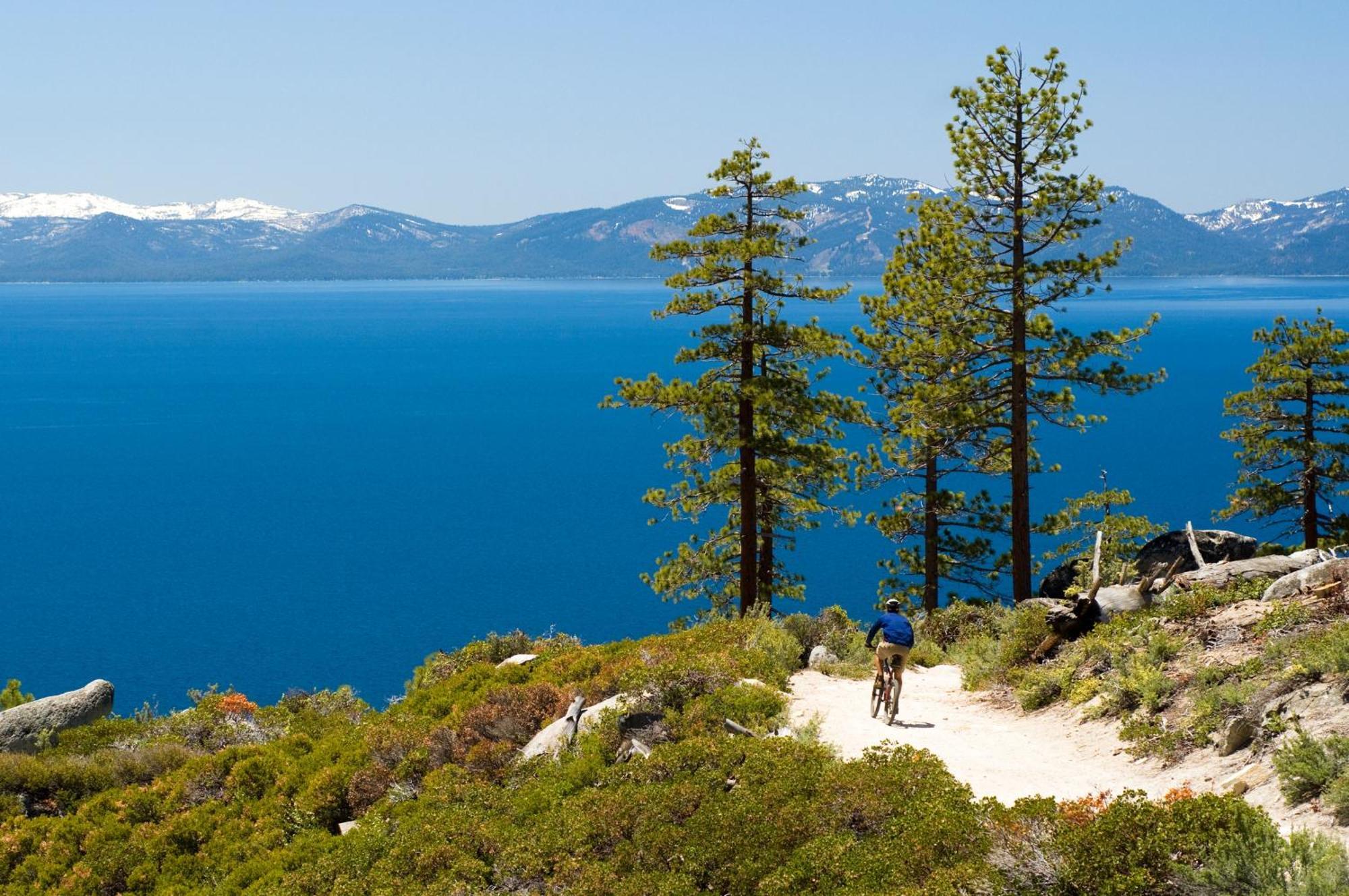 Lakeland Village 495 - Stellers Jay'S Nest Hot Tubs Beach Саут-Лейк-Таго Екстер'єр фото